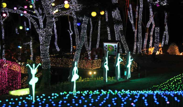 단양 수양개빛터널