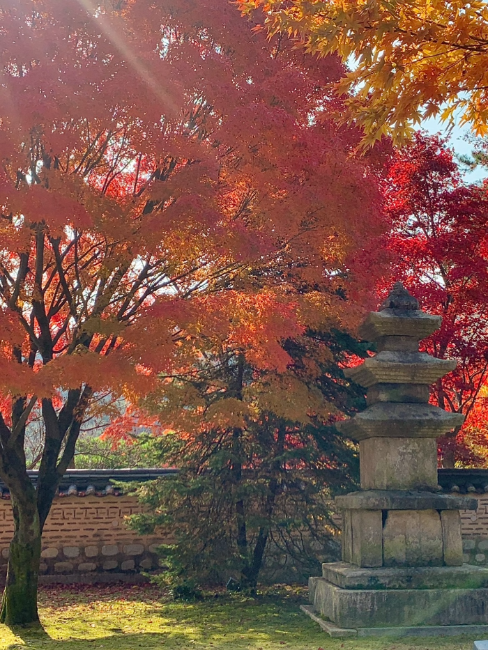 호암미술관 희원 양대