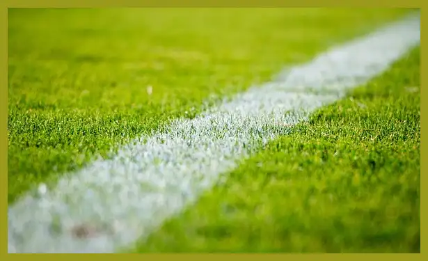 축구 중계방송 바로보기 (한국 팔레스타인)