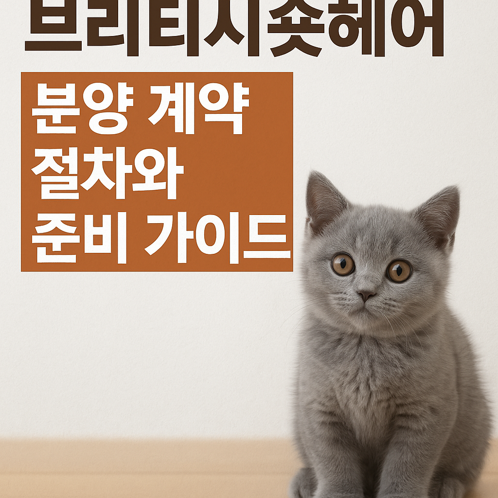 브리티시숏헤어