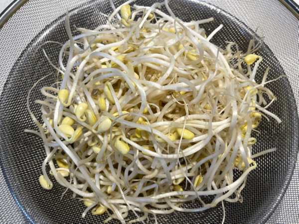 깨끗하게 씻은 콩나물 물기 빼기