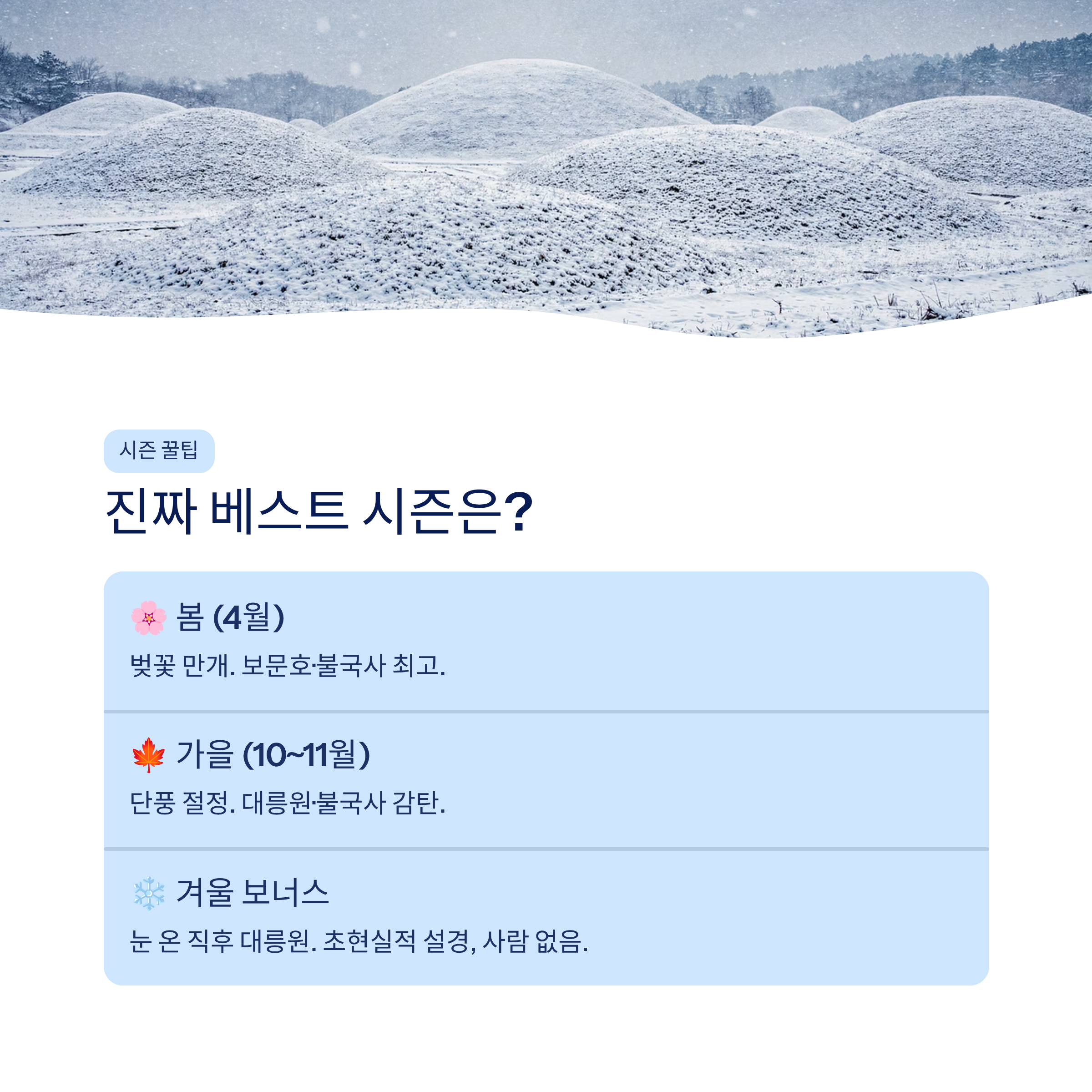 경주 근교 산책 달리기 트레킹 코스 추천 ❘ 천년 고도를 두 발로 걷는 법
