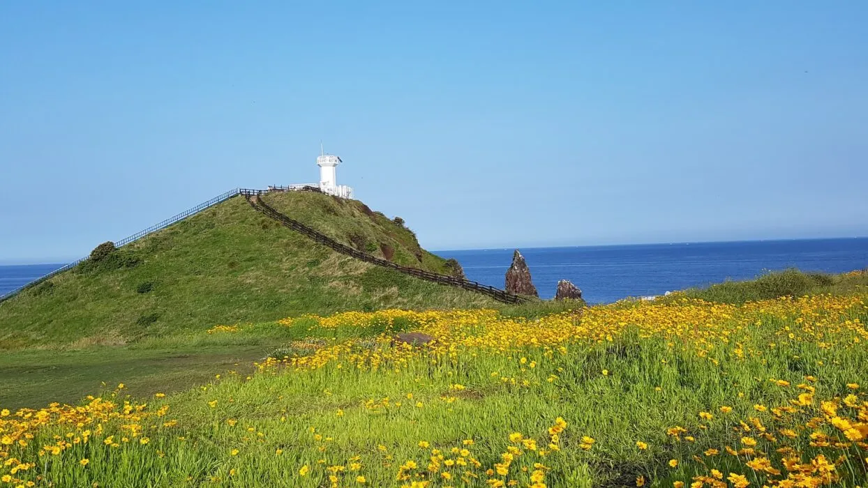 제주도 가볼만한곳 10곳 여행지 모음_4