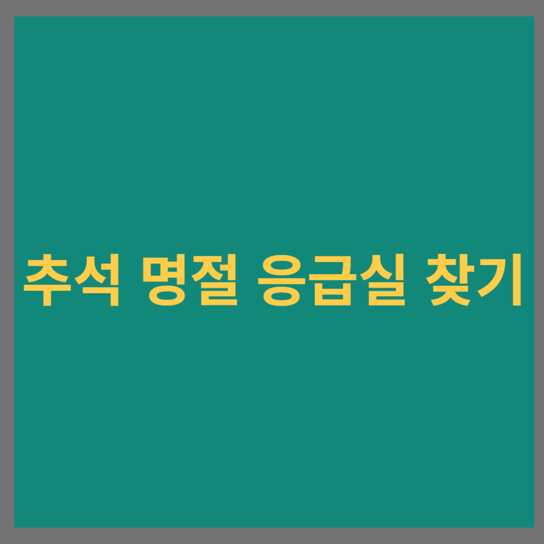 2024년 추석 명절 응급실 찾기