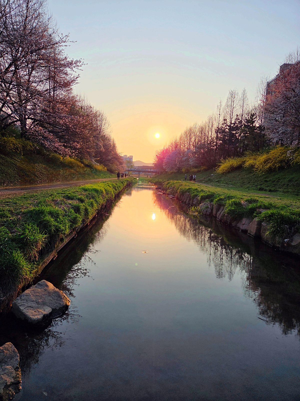 인천 벚꽃 명소 굴포천: 청리단길 꼭 가봐야 할 사계절 감성 산책로