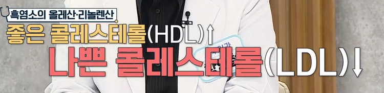 흑염소 효능
