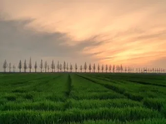 김제 가볼만한곳 베스트10 현지인 추천 필수코스_20