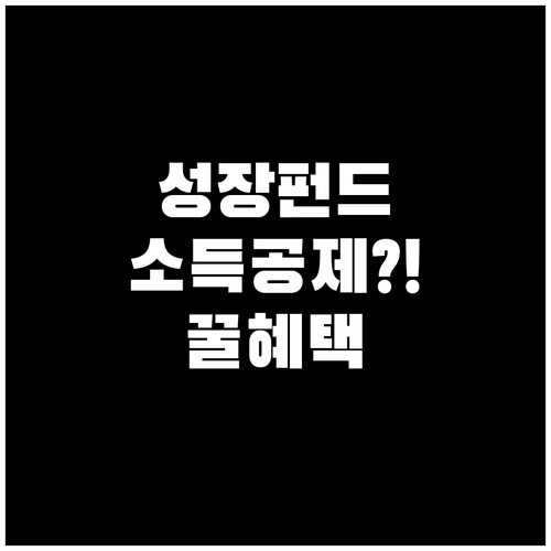 국민성장펀드 소득공제와 분리과세 혜택..