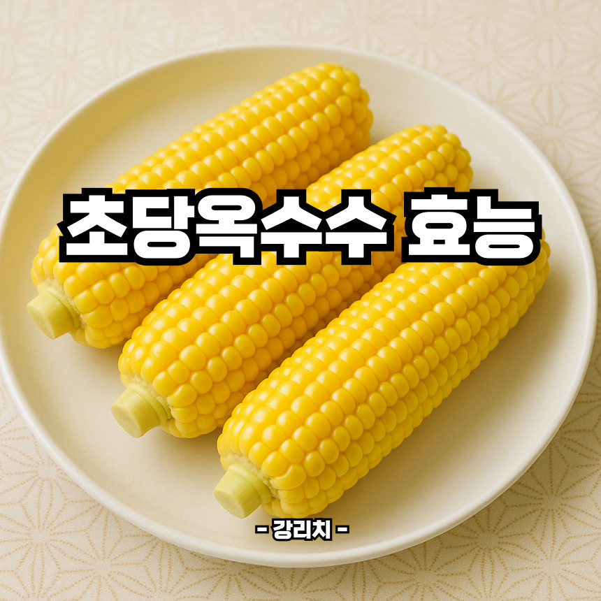 초당옥수수 효능
