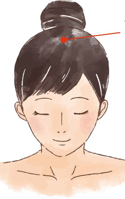 머리 혈 '백회'