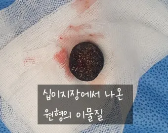 &amp;quot;고양이
