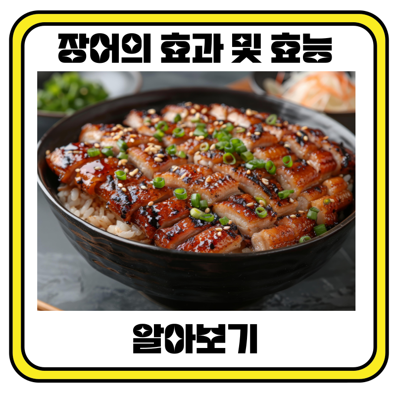 장어의 효과 및 효능