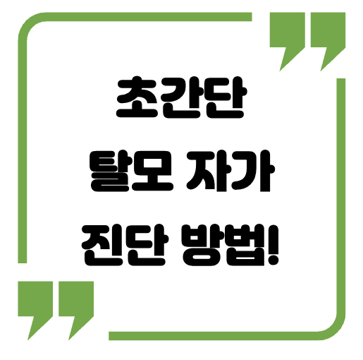 탈모확인법