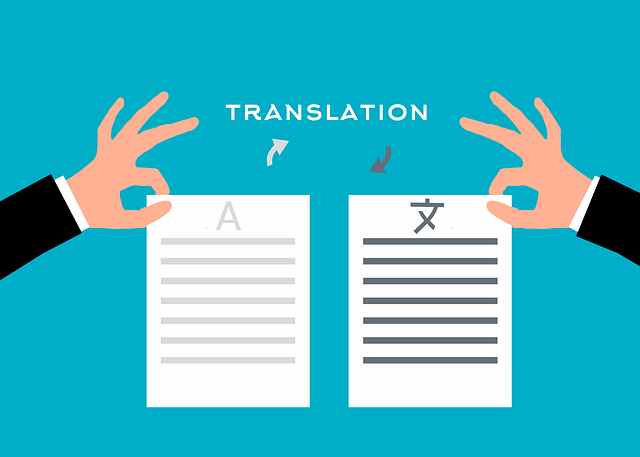 AI 번역 vs 전문 번역 - 언제 AI를 쓰고 언제 전문가가 필요한지