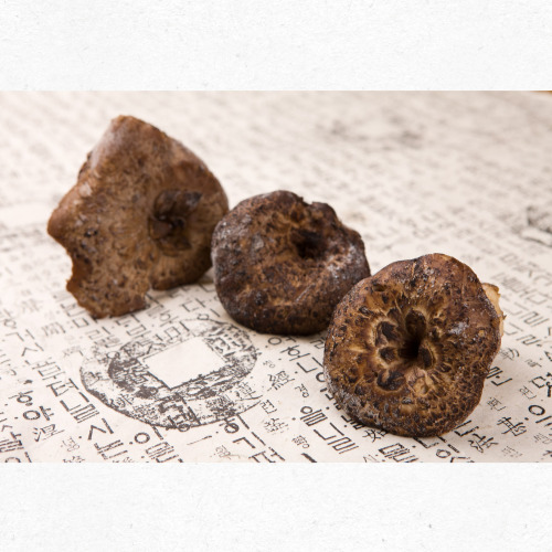 8월 제철버섯 능이버섯 향긋한 여름 식재료