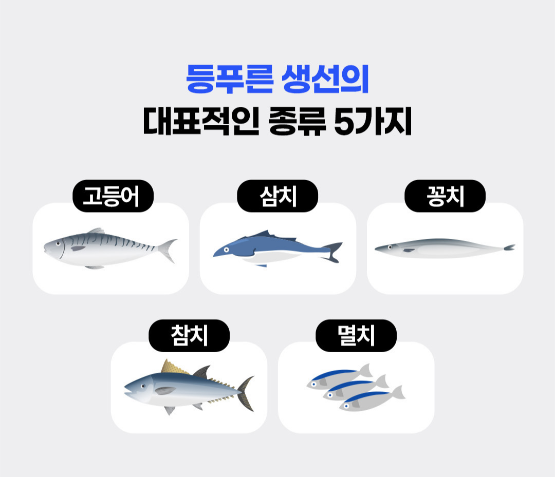 등푸른 생선