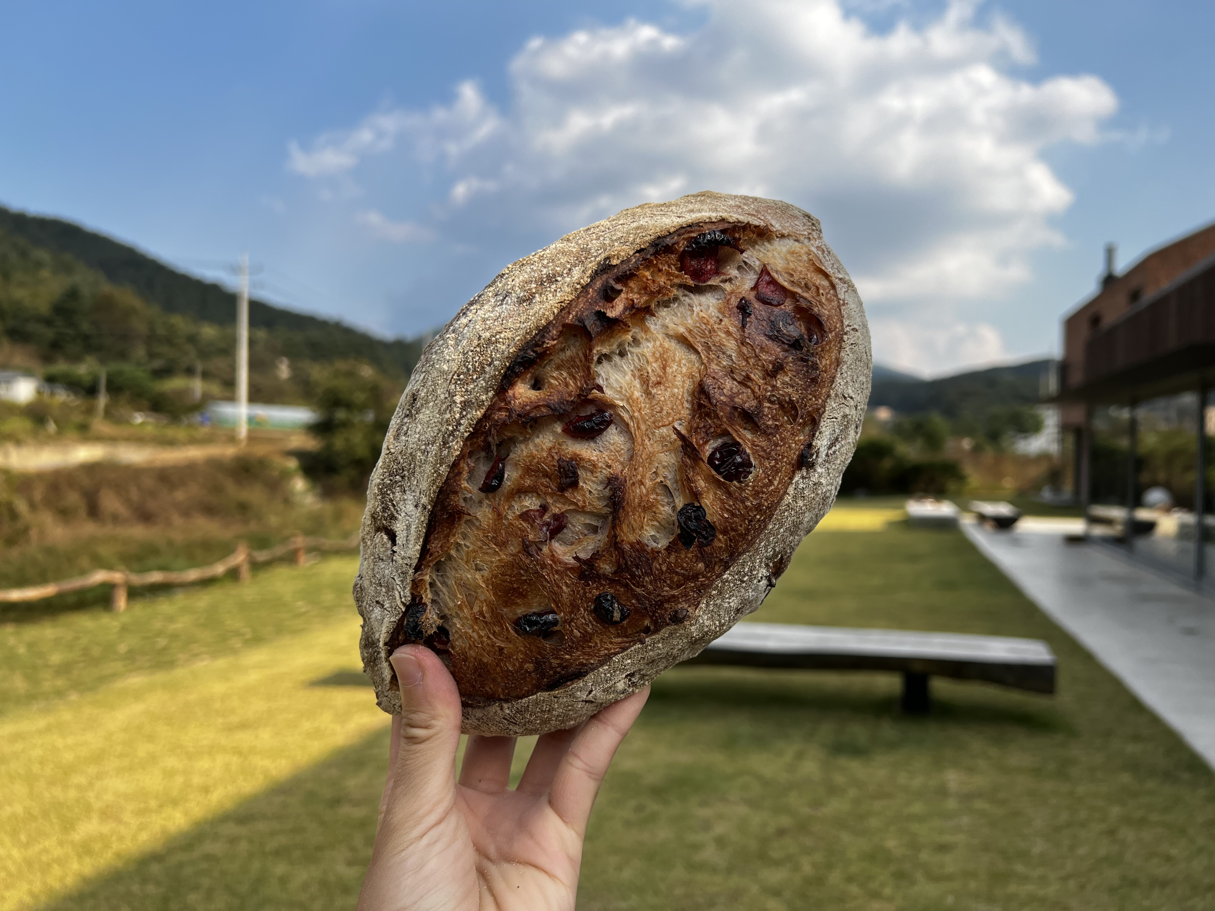 <동네한바퀴>-양평-화덕빵-롤케이크-쉐즈롤-위치-메뉴-가격-주차-리뷰