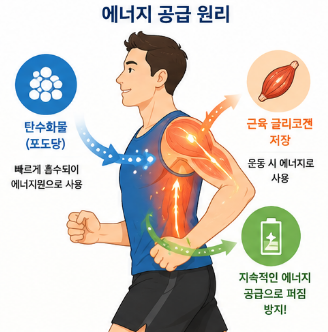 러닝-에너지젤-효능-후기-성분-섭취-순위-비교