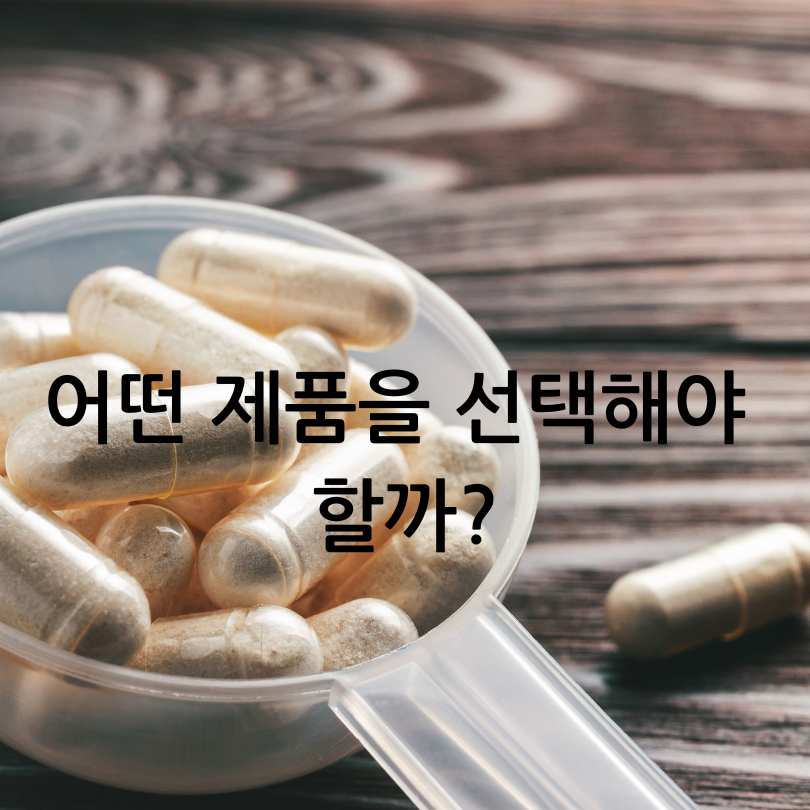 MBP과 콘드로이친 차이점