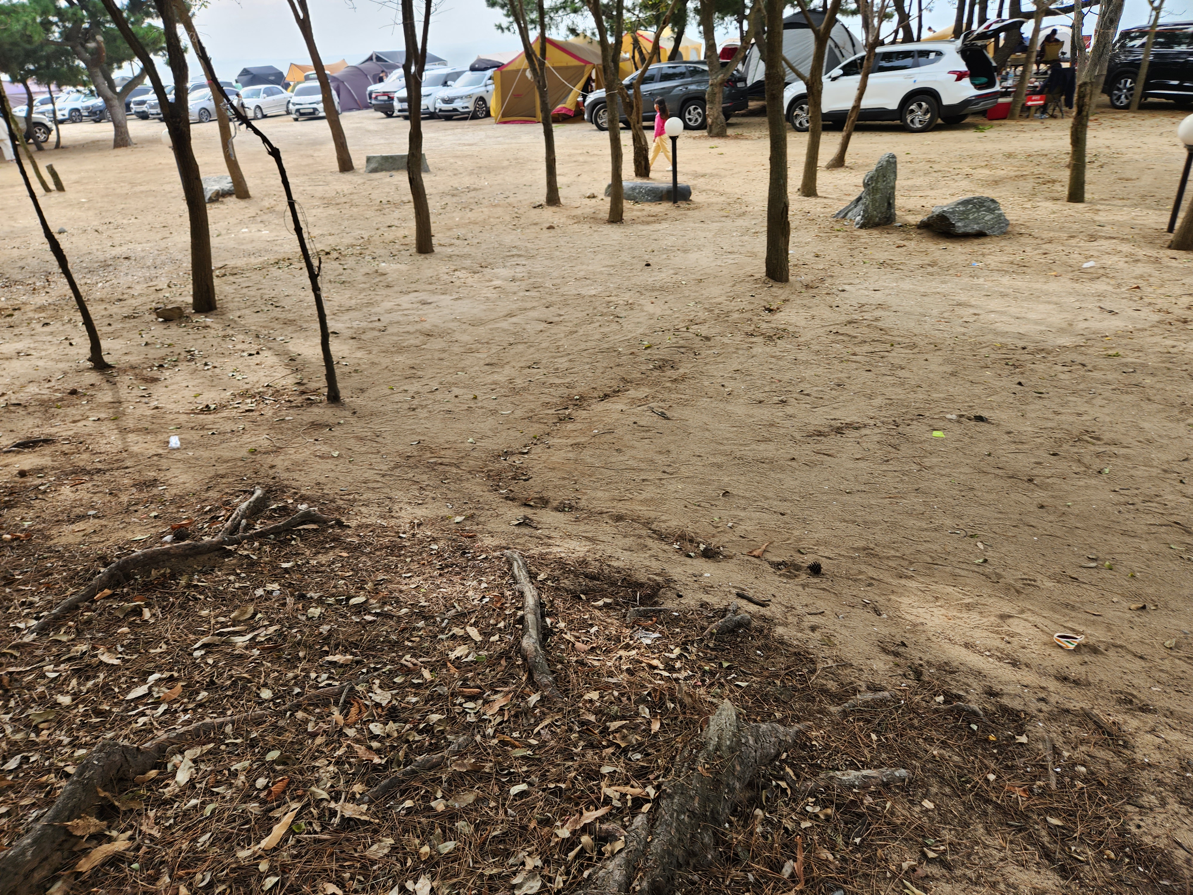 인천 캠핑장 추천 서울근교, 영종씨사이드캠핑장, 옹암파라다이스 캠핑장