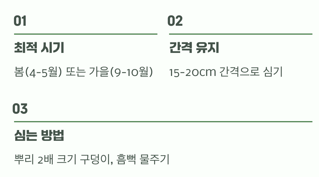 성공적인 첫걸음, 옮겨 심기