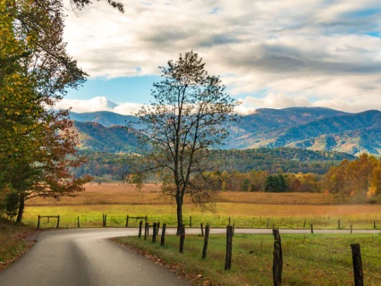 02. 그레이트 스모키 산맥의 카데스 코브 타기 07
