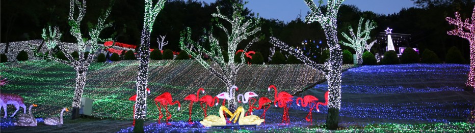 청도 '프로방스 크리스마스 산타마을 빛축제' 행사소개, 축제안내, 관련영상