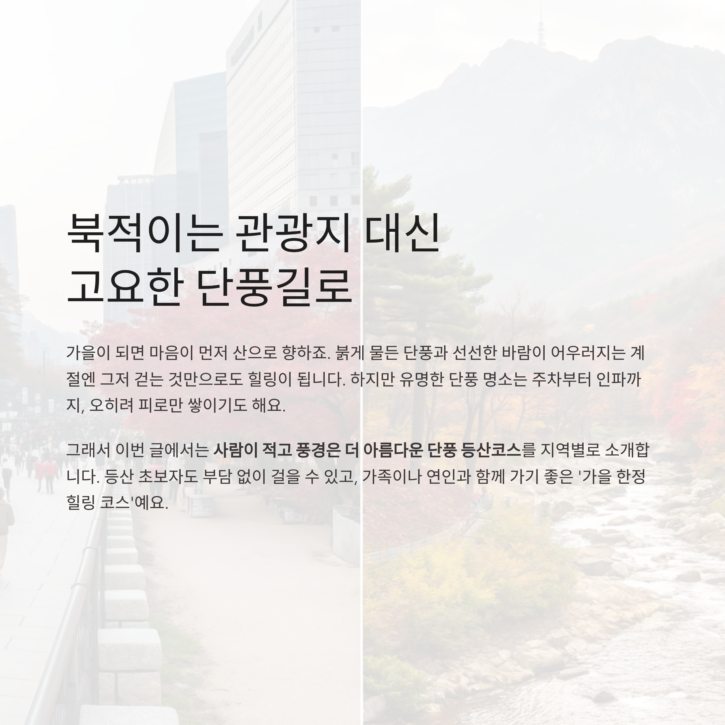2025 가을 단풍 등산코스 추천 ❘ 혼잡 피해서 걷는 전국 힐링 명소 7선