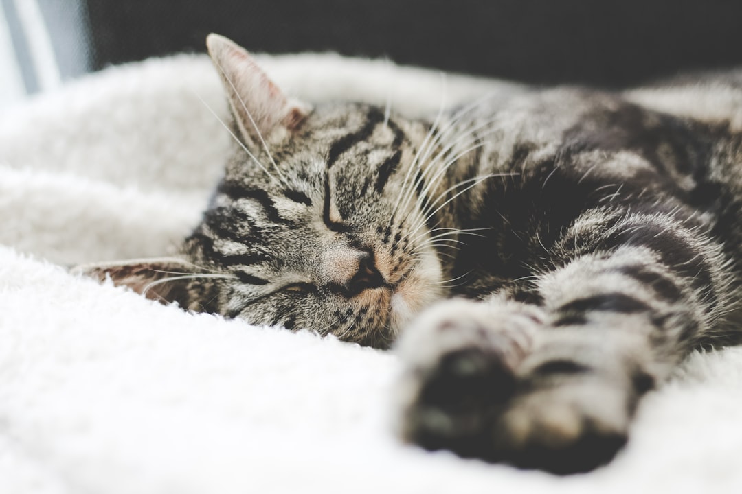 Sleep.