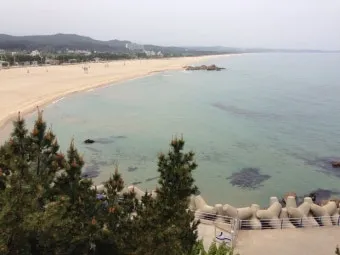 5월 동해 바다낚시 최고 추천 어종과 인기 포인트 완벽 총정리_8