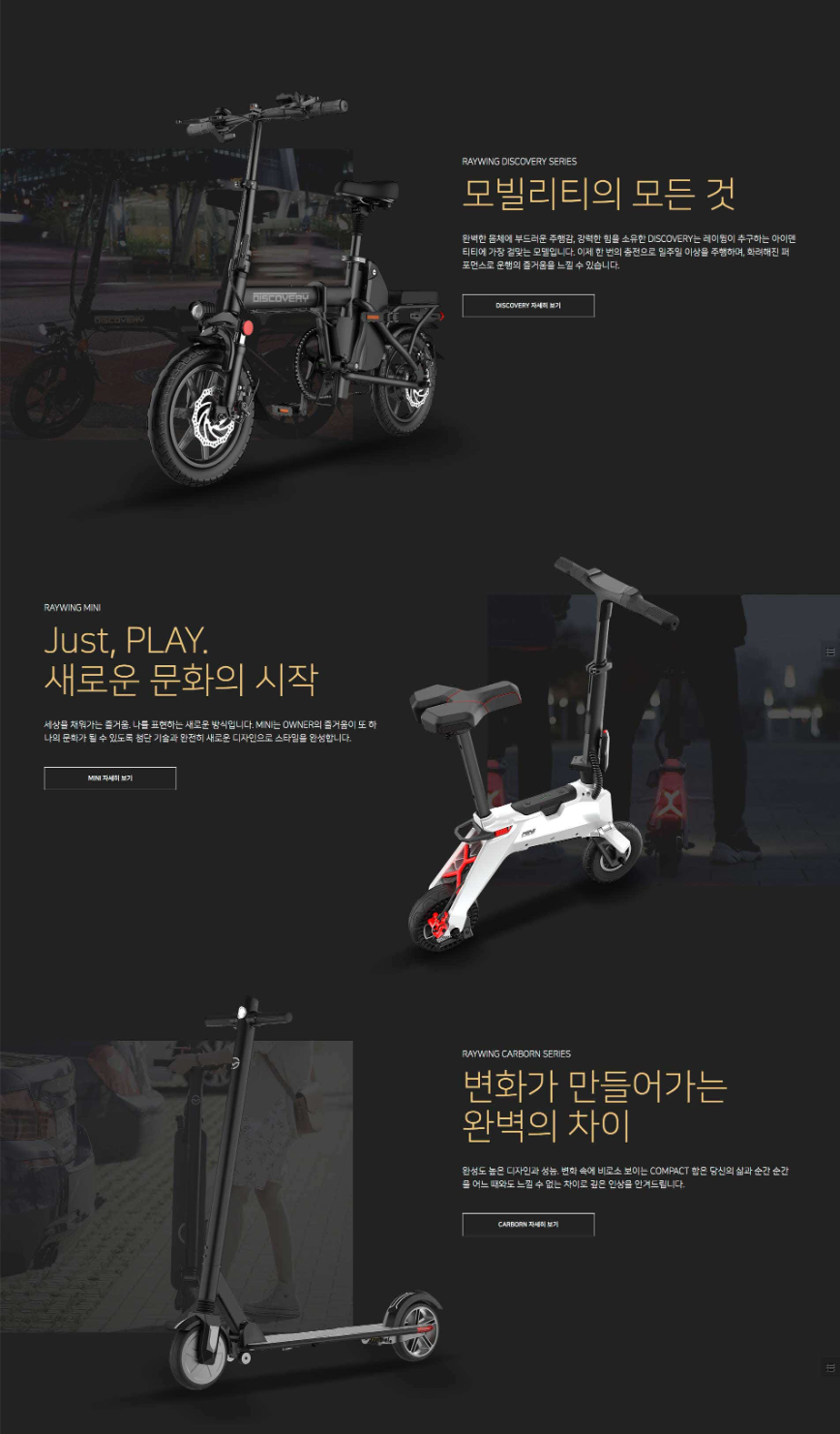 레이윙 제품 브랜드 홈페이지