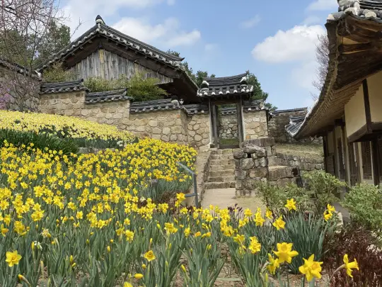 예산 추사 김정희 선생 고택2