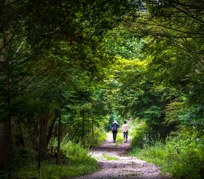 온빛자연휴양림예약 그 해 우리는 논산