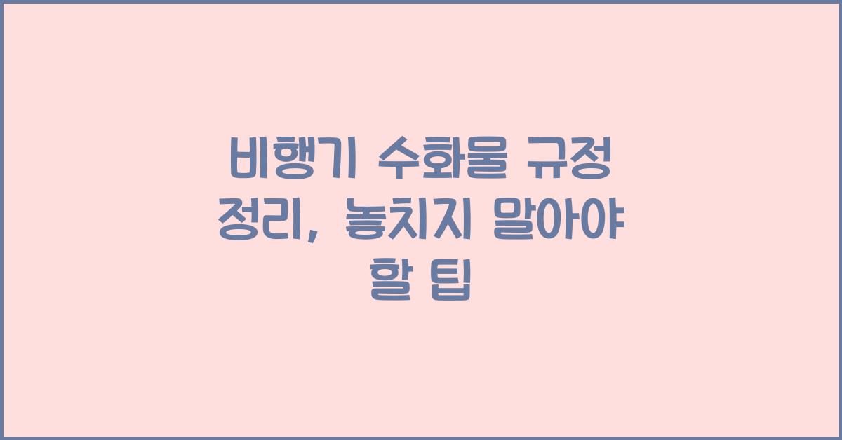 비행기 수화물 규정 정리