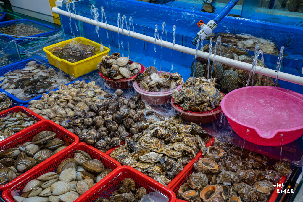 궁평항 수산물 시장