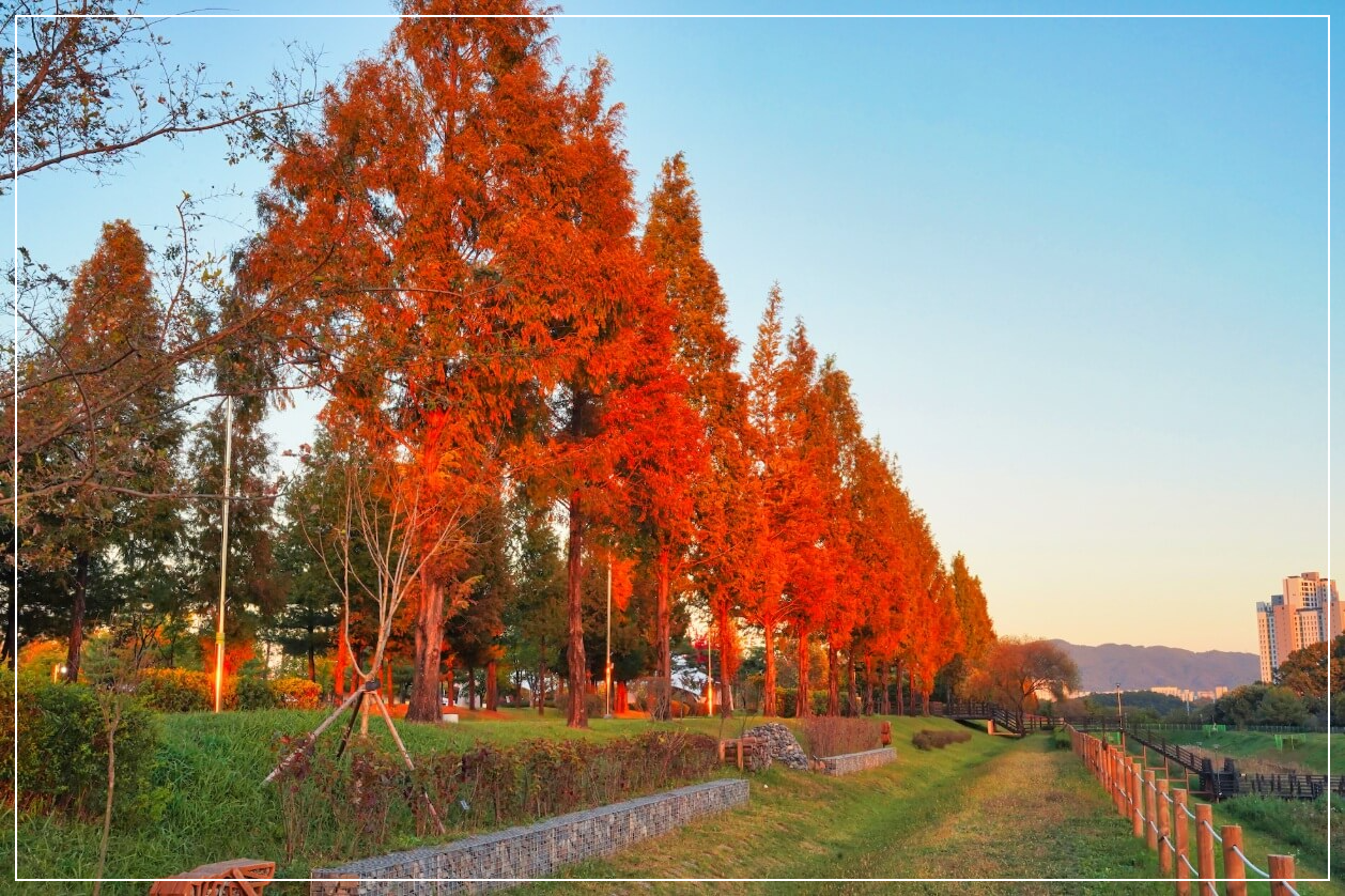 청주 가볼만한곳 베스트10 문암생태공원