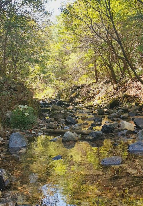 포천아버지의숲캠핑장