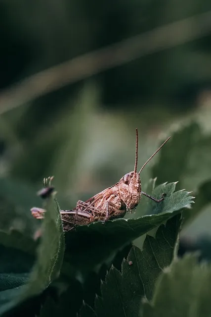 시트파일항타 시공계획서 샘플 쉬운 작성 방법_8