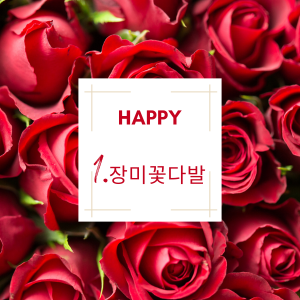 장미사진