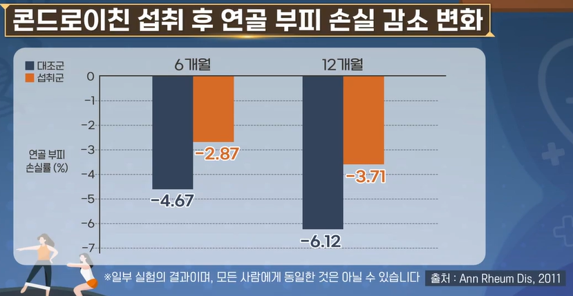 콘드로이친 효능