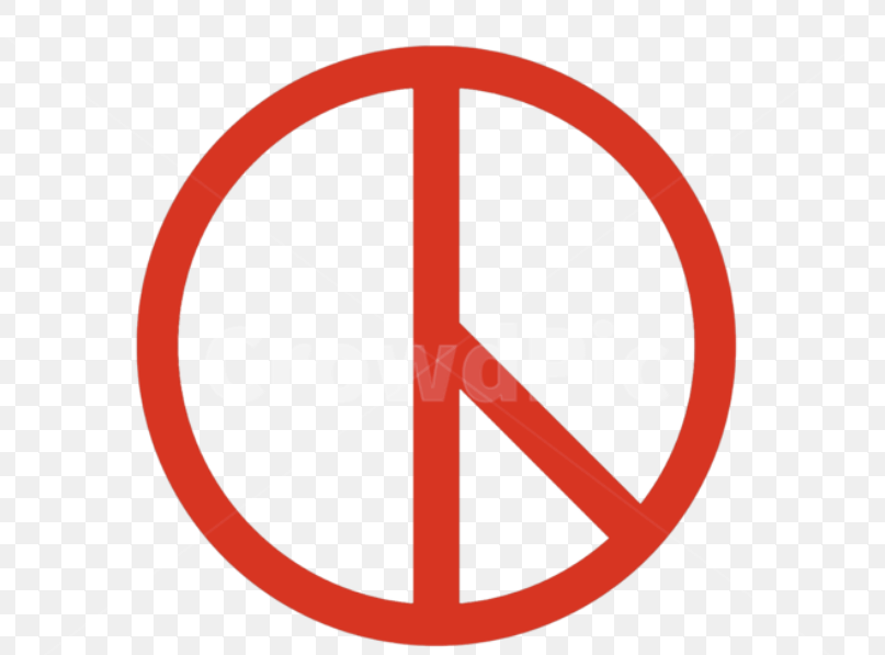 실시간 투표율 역대 최고! 2025 사전투표