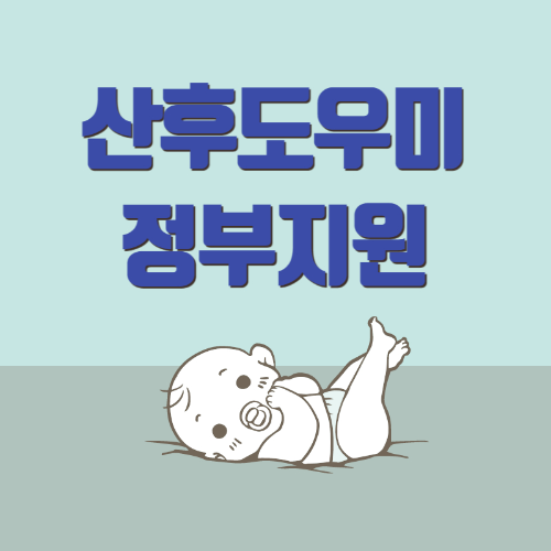 산후도우미 정부지원1