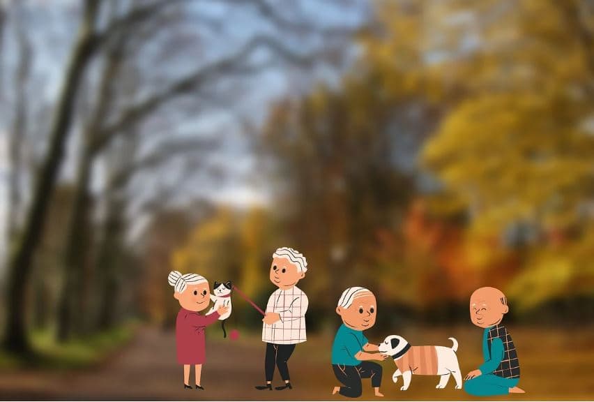 [고령화 노인복지] 한국 노인복지정책 ⅵ : 현행 노인복지법에 따른 노인복지 재원: 지속 가능한 복지 체계 구축과 미래 비전