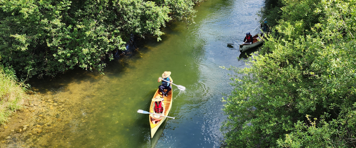 장자늪 카누 체험