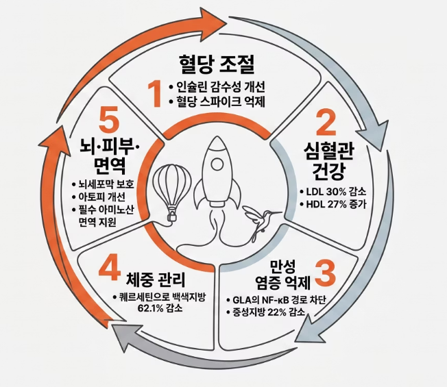 대마종자유-효능-당뇨-효과-부작용-먹는법-추천