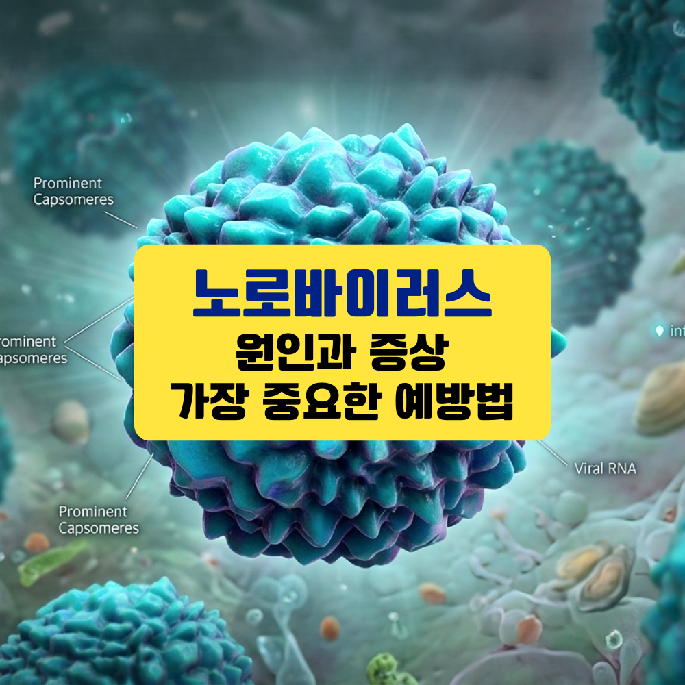 노로바이러스의 증상과 원인, 가장 중요한 예방법.