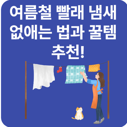 여름철 빨래 냄새 없애는 법과 꿀템 추천!