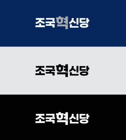 황현선 조국혁신당 사무총장 활동