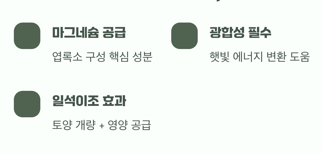 식물의 필수 영양소&amp;#44; 고토의 비밀