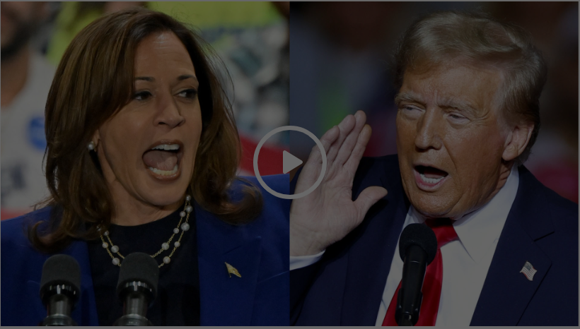 미국 대선 실시간 결과 보는 방법